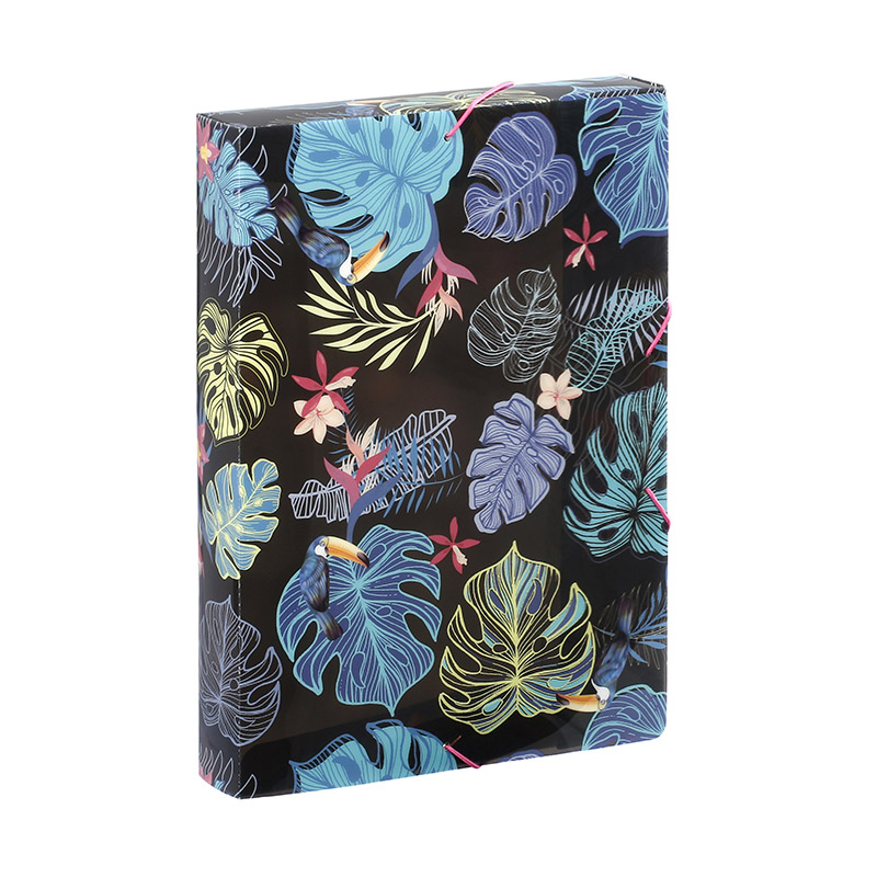 Boîte de classement TROPICAL