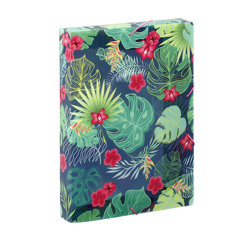 Boîte de classement TROPICAL