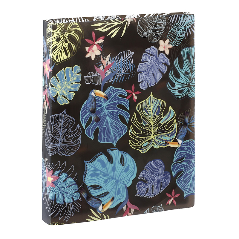 Classeur 2 anneaux 30 mm TROPICAL