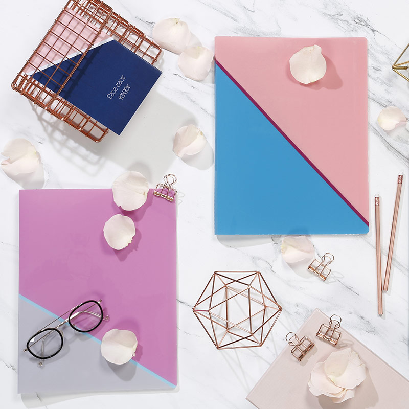 Classeur 2 anneaux 15 mm DUALITY