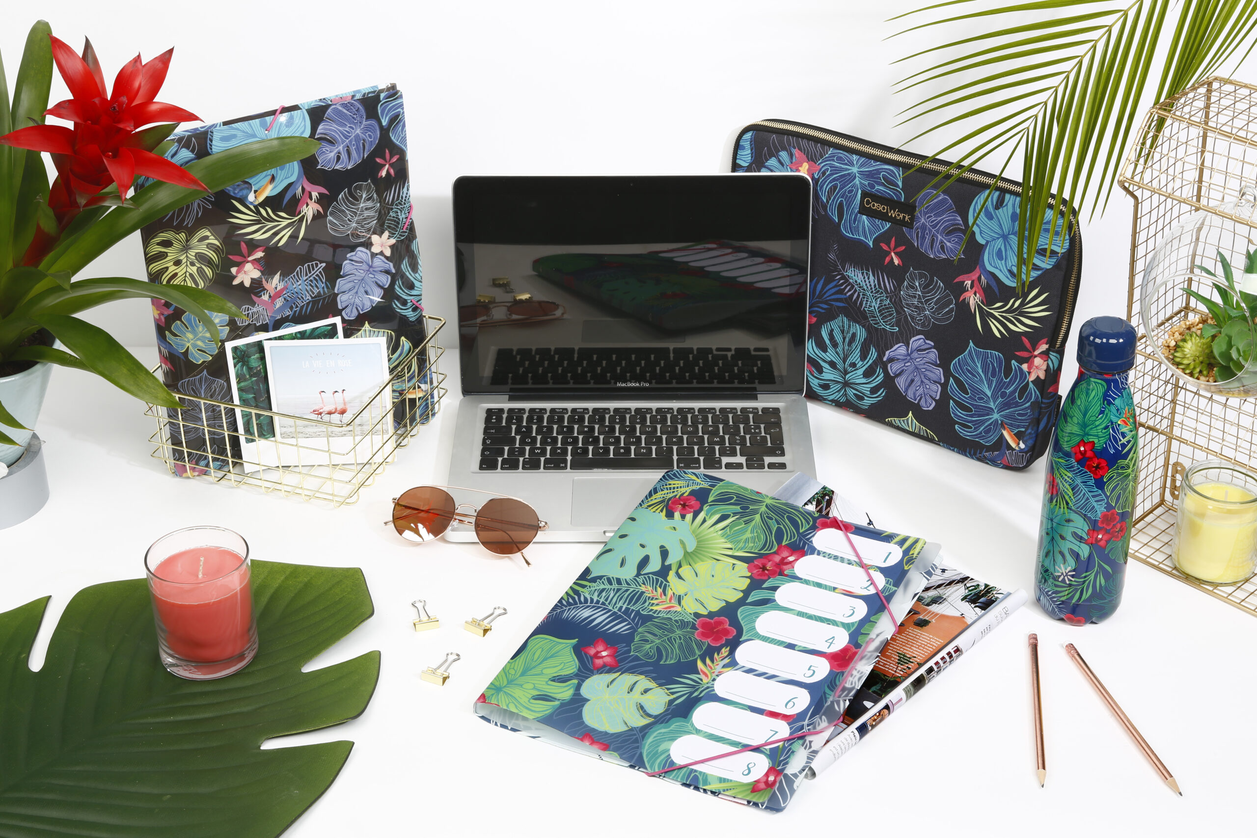 Trieur 8 compartiments TROPICAL